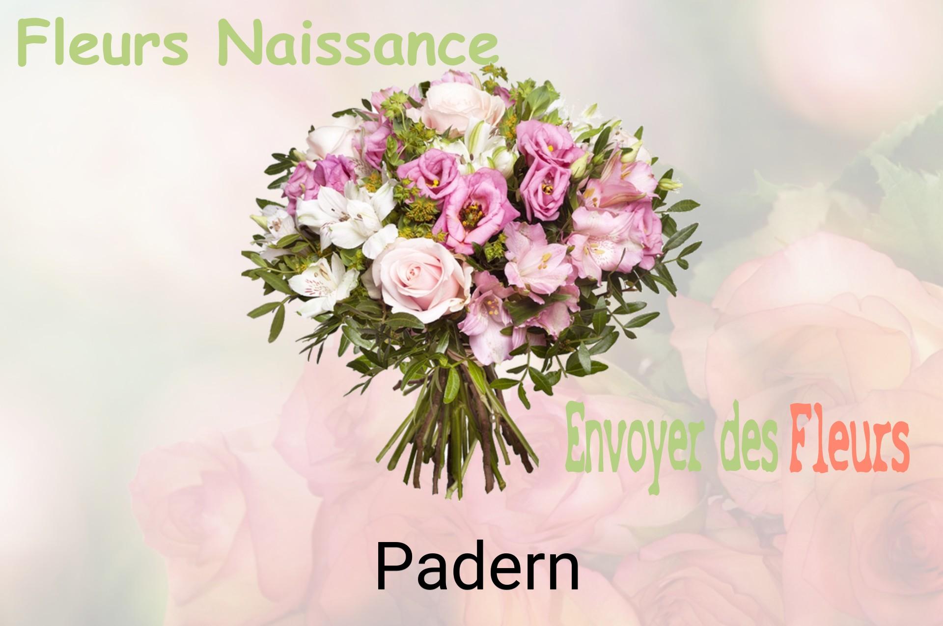 Bouquet de fleurs de naissance livré à Padern